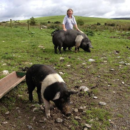 Burren Glamping Villa Kilfenora Buitenkant foto