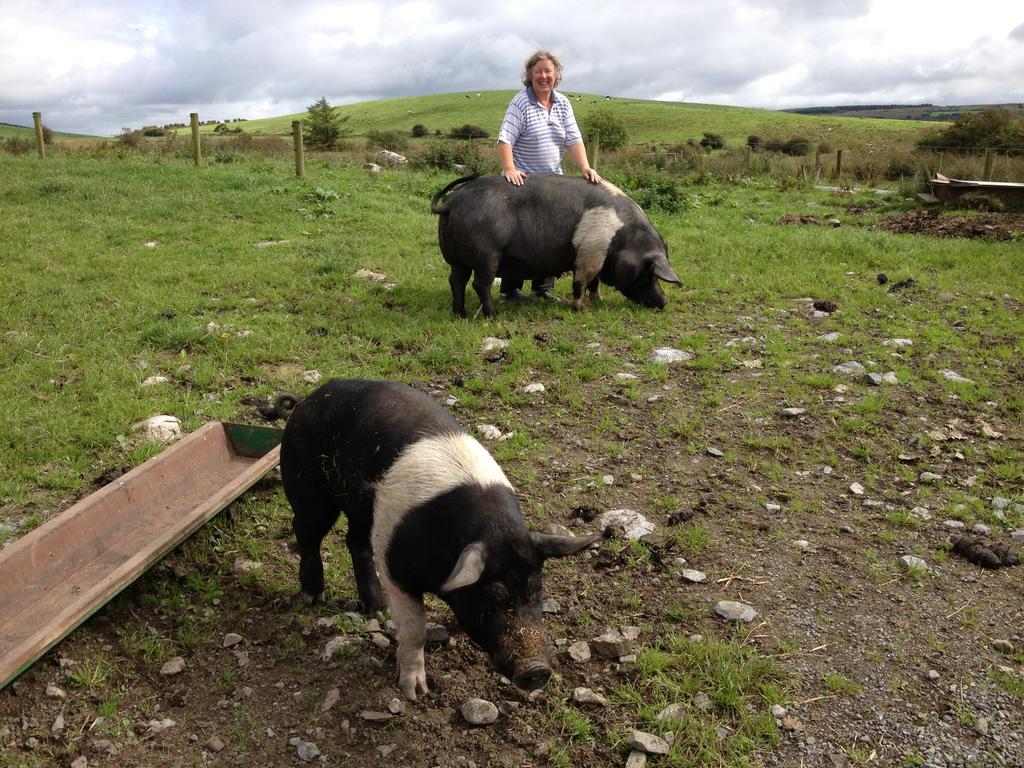 Burren Glamping Villa Kilfenora Buitenkant foto