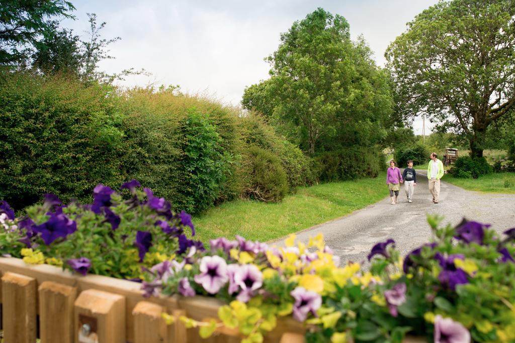 Burren Glamping Villa Kilfenora Buitenkant foto